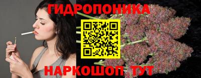 Альфа ПВП Новодвинск