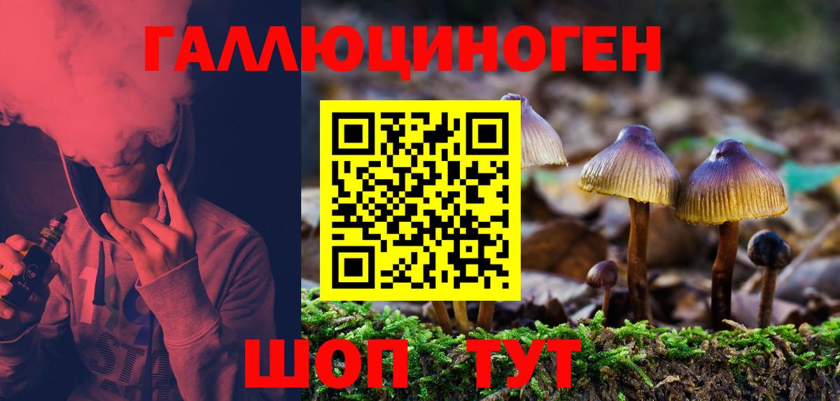 Псилоцибиновые грибы Psilocybe Сочи