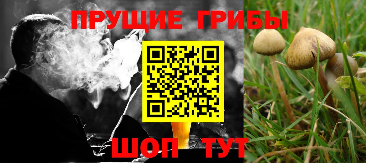 Псилоцибиновые грибы Magic Shrooms  Псилоцибиновые грибы Cubensis  Вход с VPN  Сочи 